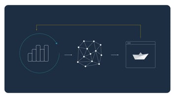 Data Centric AI Manolin Aquaculture