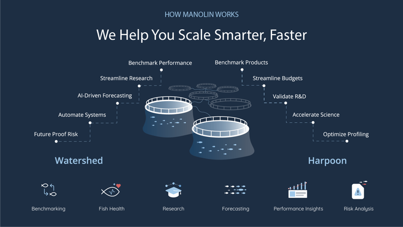 How Manolin Works_1