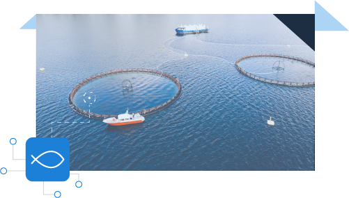 Manolin-AI-Farm-Graphic