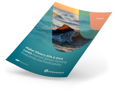 big-data-whitepaper-mockup-veramaris