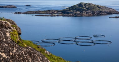Norway Salmon Farm